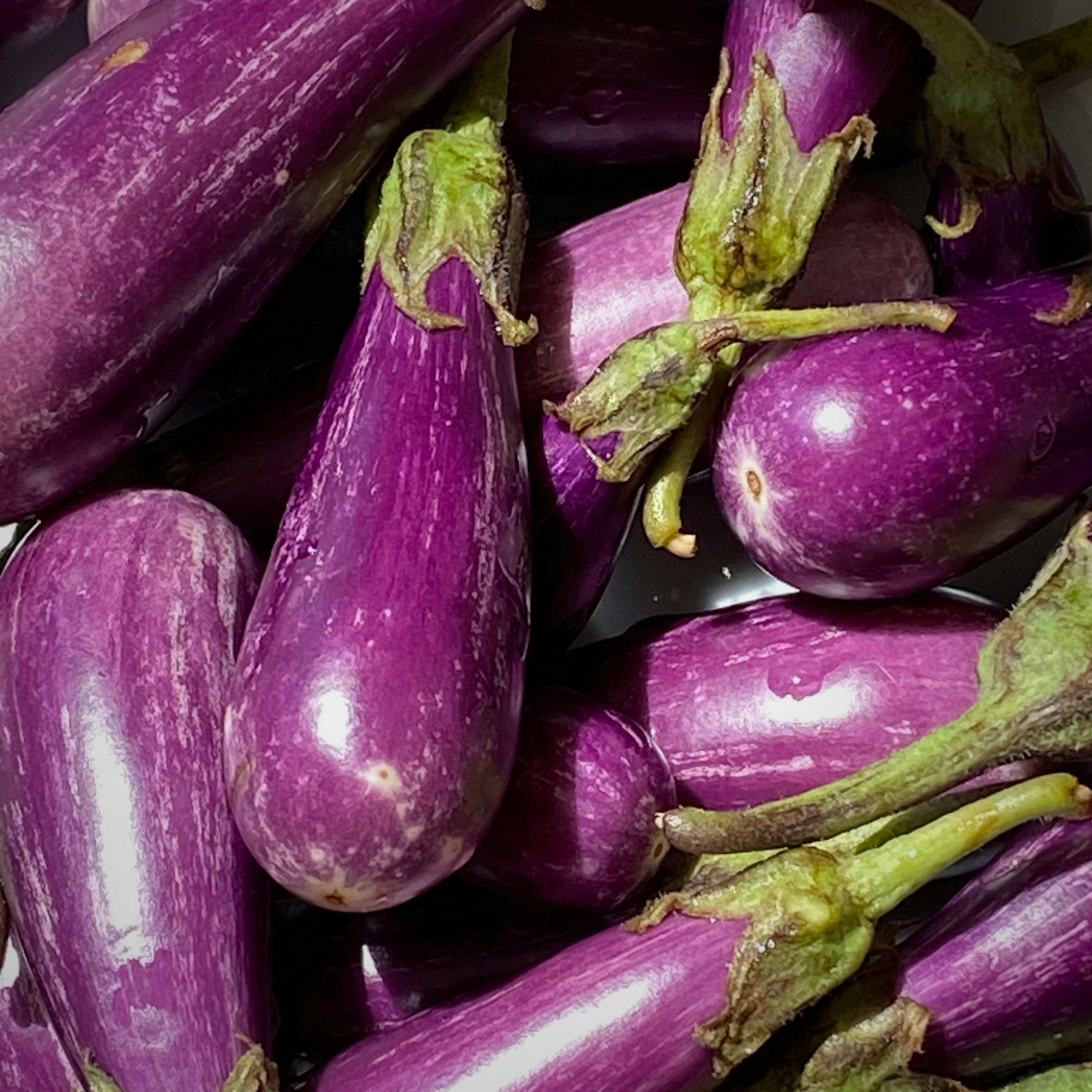 AUBERGINE ROSE - 500g