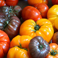MÉLANGE TOMATES ANCIENNES - 500g