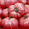 TOMATE ROSE DE BERNE - 500g