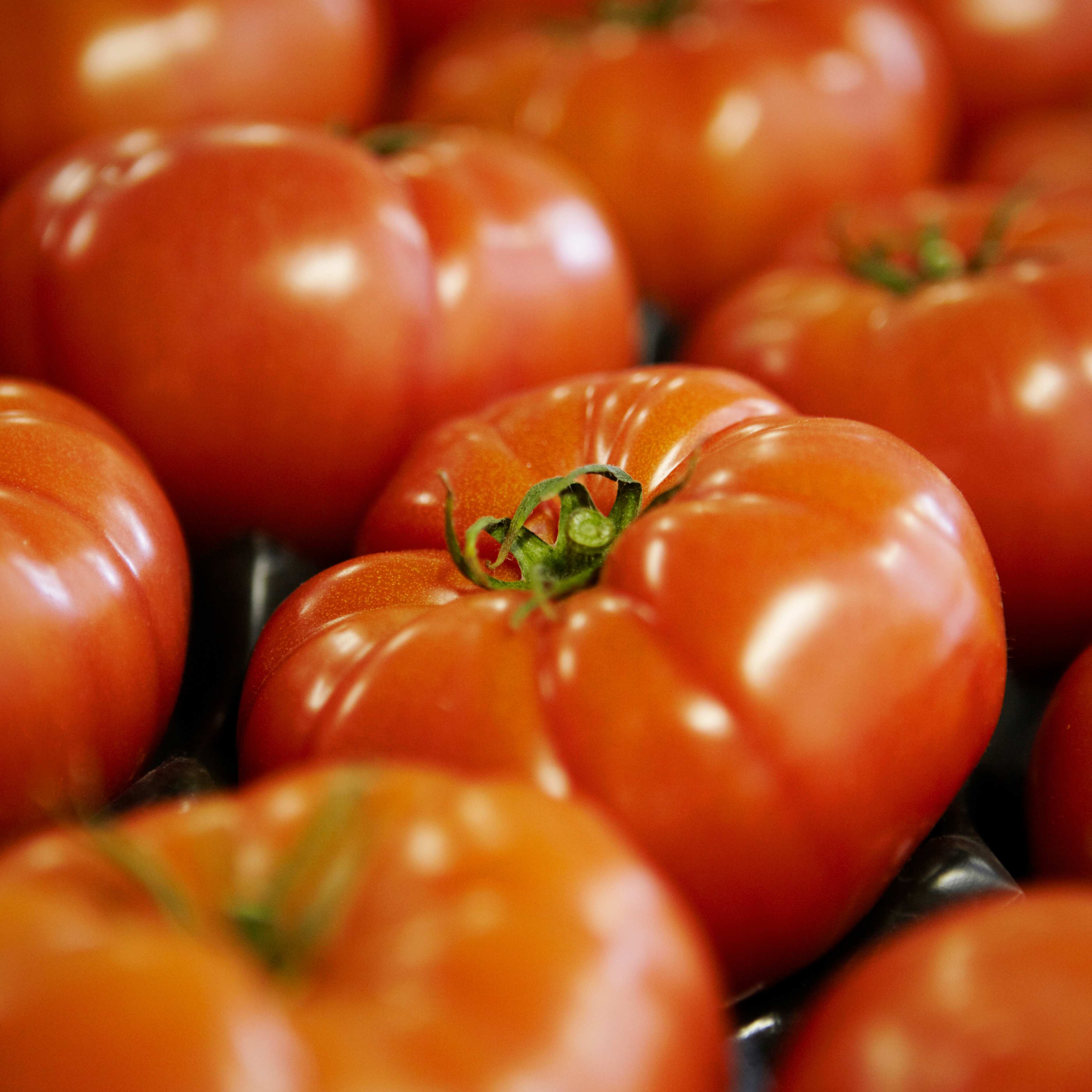 TOMATE COEUR DE BOEUF - 500g